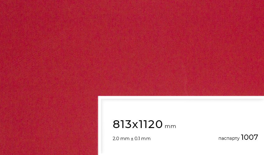 Паспарту 1007