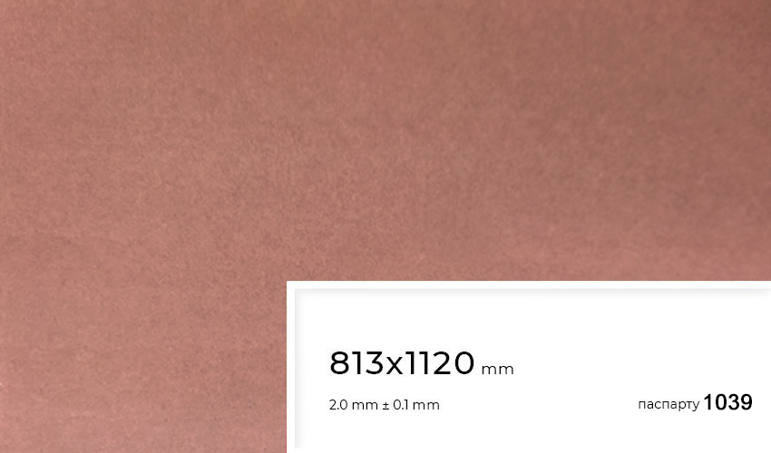 Паспарту 1039