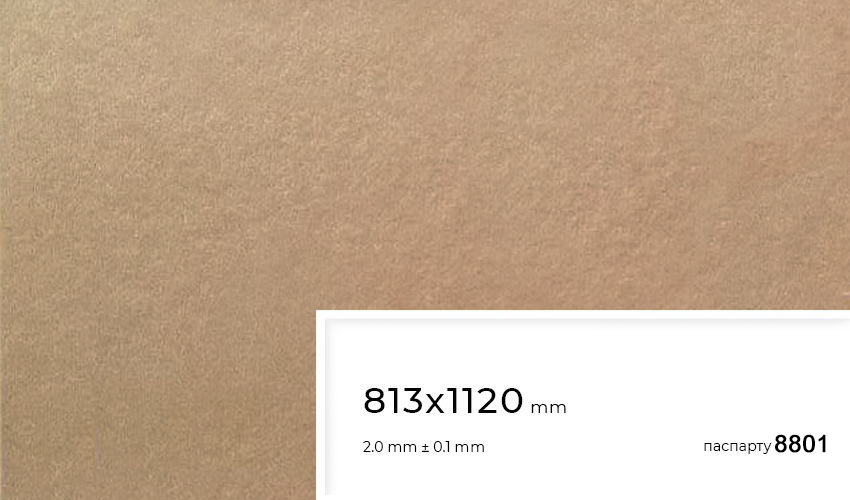 Паспарту 8801